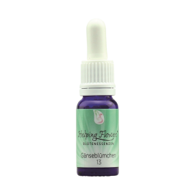 Helping Flowers (13) - Gänseblümchen