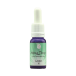 Helping Flowers (16) - Ginster