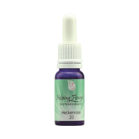 Helping Flowers (20) - Heckenrose