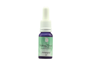 Helping Flowers (22) - Immergrün