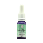 Helping Flowers (22) - Immergrün