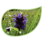 Helping Flowers (25) - Kleine Braunelle-0