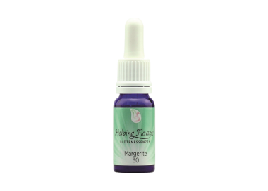 Helping Flowers (30) - Margerite