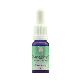 Helping Flowers (31) - Odermennig