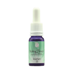 Helping Flowers (33) - Rainfarn