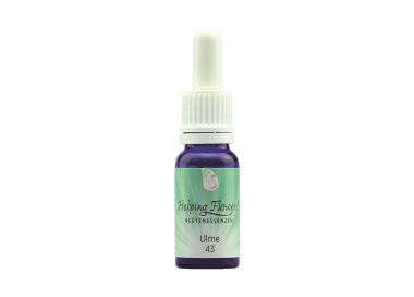 Helping Flowers (43) - Ulme