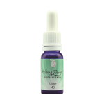 Helping Flowers (43) - Ulme