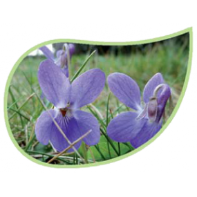 Helping Flowers (44) - Veilchen-0