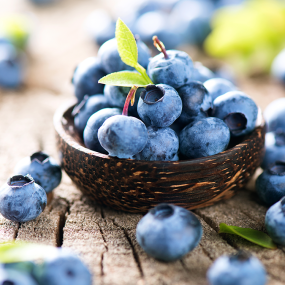 Heidelbeere (Vaccinium myrtillus)