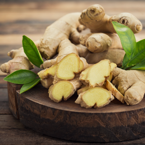 Ingwer (Zingiber offcinale)