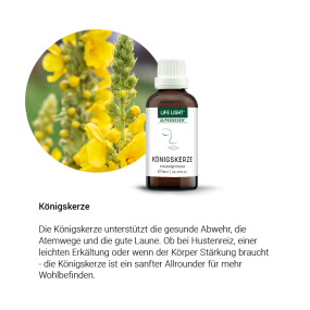 Alpensegen Königskerze (50 ml) - Kräuter