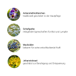 Impuls Lymphe + Haut Kräuterkomplex, 50 ml - Kräuter