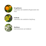 Impuls Lymphe + Haut Kräuterkomplex, 50 ml - Kräuter