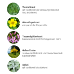 Goldene Mitte Kräuterkomplex, 50 ml - Kräuter