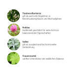 Klimax Kräuterkomplex - Tinktur, 50 ml - Kräuter