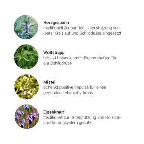 Alpensegen Schmetterling, 50 ml - Kräuter