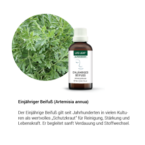 Alpensegen Einjähriger Beifuß (50 ml)