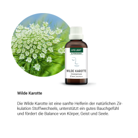 Alpensegen Wilde Karotte, 50 ml - Kräuter