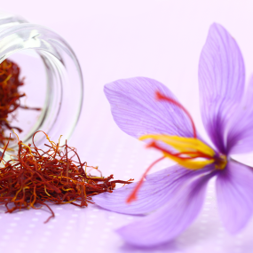 Safran (Crocus sativus)