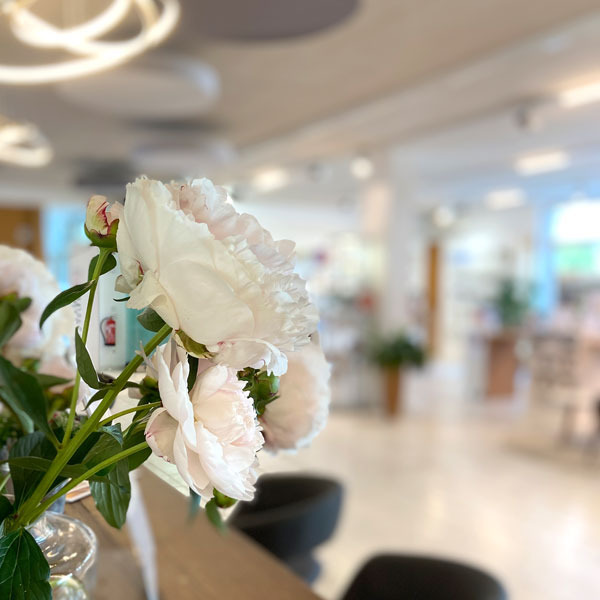 LIFE LIGHT® Vitalshop in Grödig