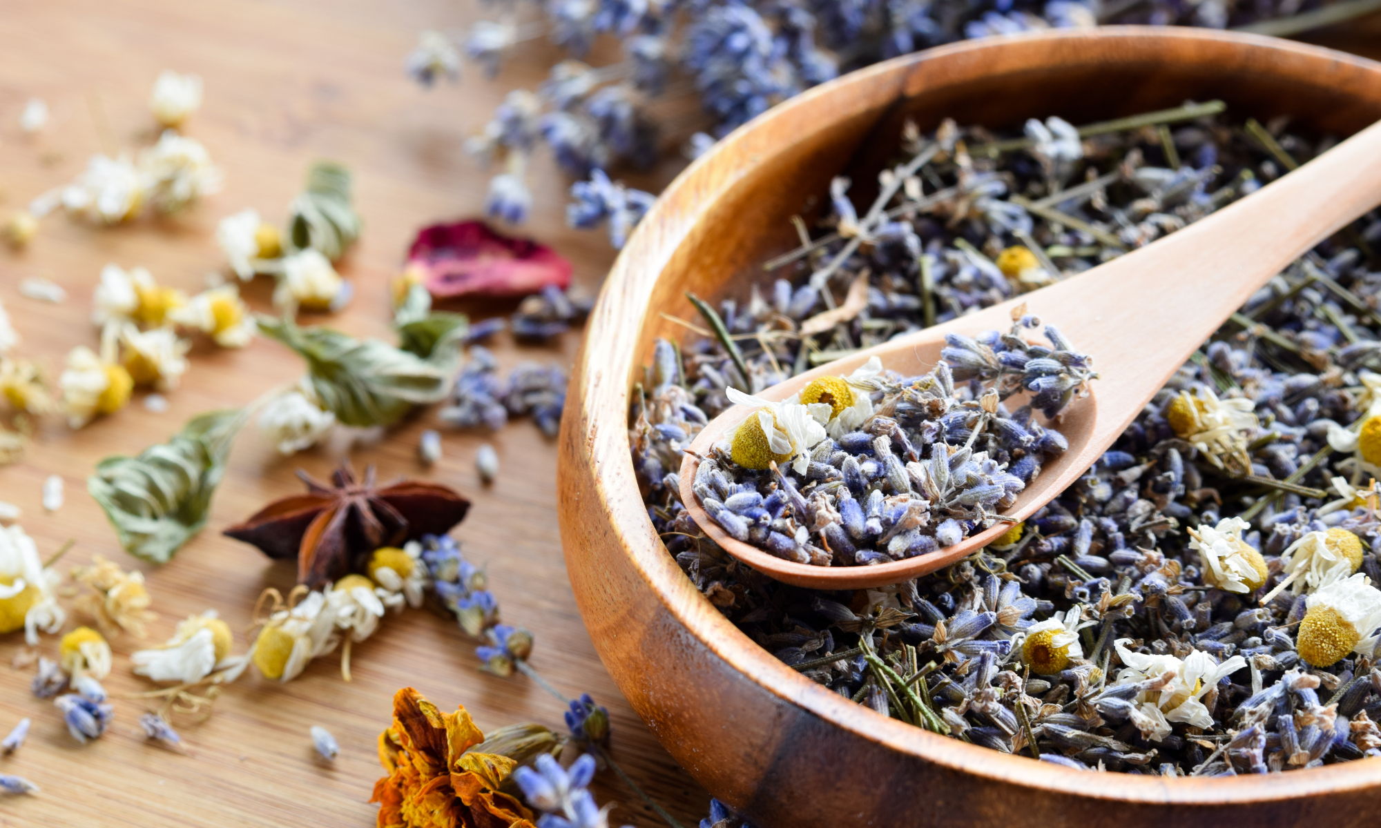 Kategorie Pflanzenextrakte