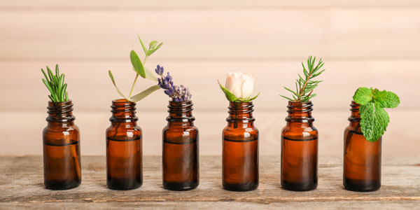 Säure Basen Balance Kategorie