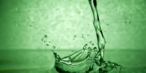 Kategorie Pflanzenextrakte