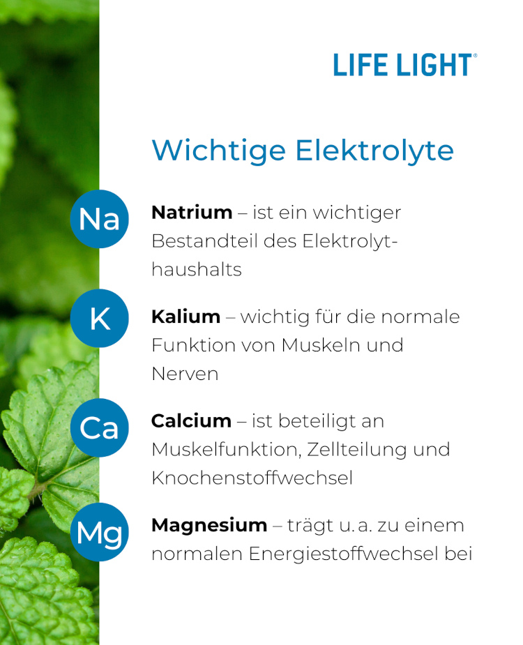 Infografik von Life Light mit den wichtigsten Elektrolyten: Natrium, Kalium, Calcium und Magnesium, inklusive ihrer Funktionen im Körper. Am Bild steht geschrieben: LIFE LIGHT, Wichtige Elektrolyte: Na (Natrium) – ist ein wichtiger Bestandteil des Elektrolyt­haushalts; K (Kalium) – wichtig für die normale Funktion von Muskeln und Nerven; Ca (Calcium) – ist beteiligt an Muskelfunktion, Zellteilung und Knochenstoffwechsel; Mg (Magnesium) – trägt unter anderem zu einem normalen Energiestoffwechsel bei.